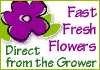 Fast Fresh Flowers